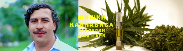 стаф Абинск