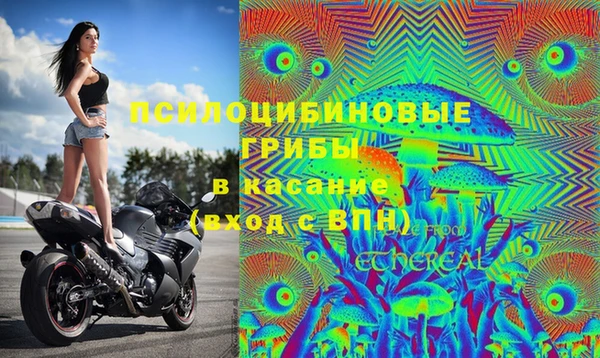 кокс Абдулино