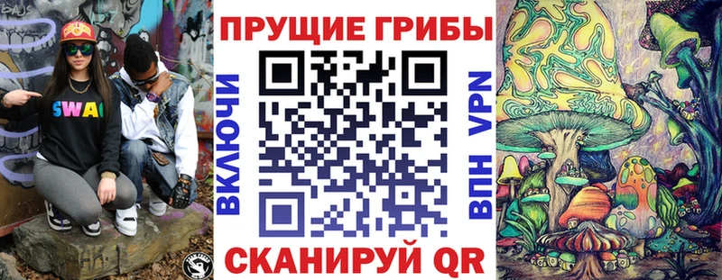 Псилоцибиновые грибы MAGIC MUSHROOMS  блэк спрут рабочий сайт  Юрюзань 